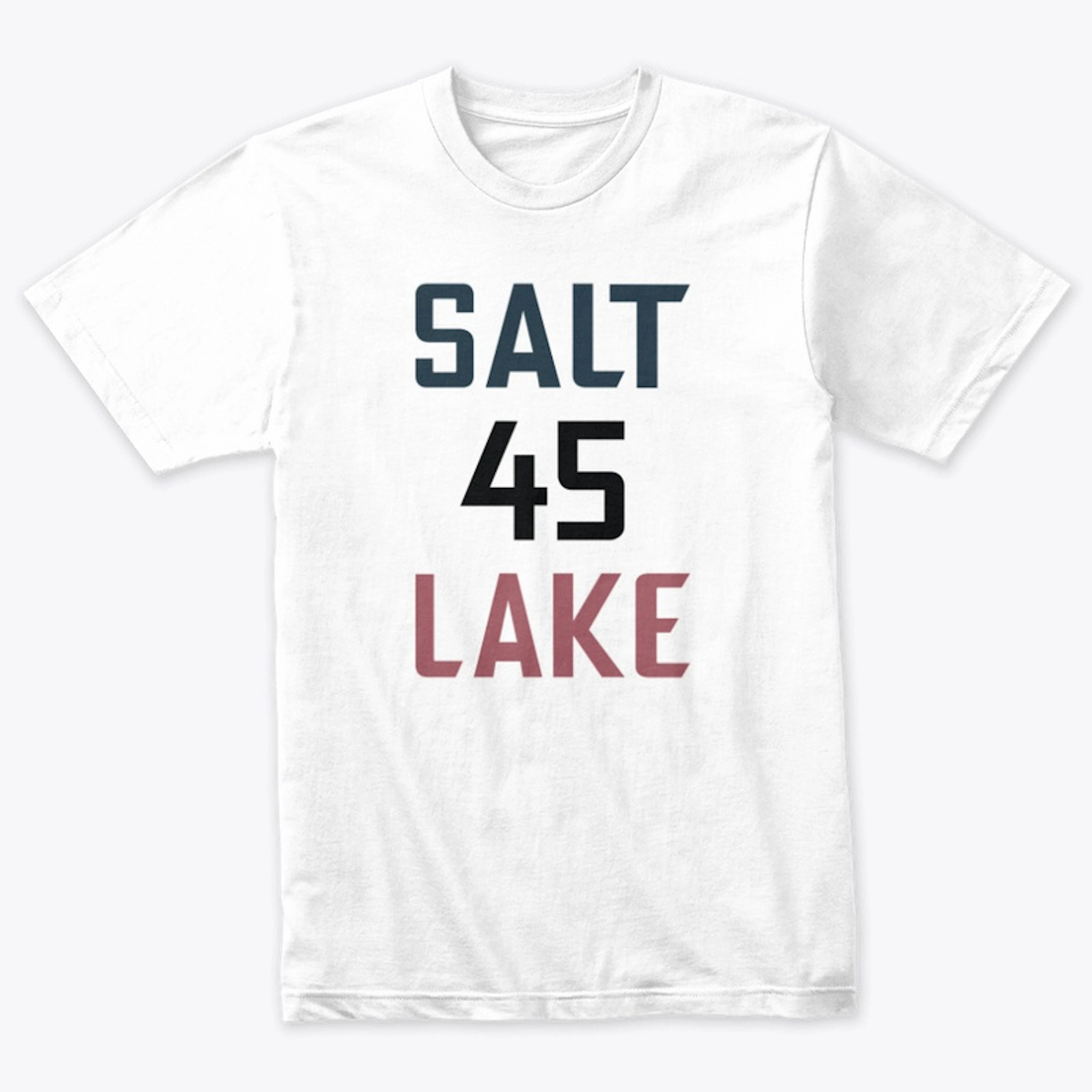 Salt Lake #45 City | Ninety4feet