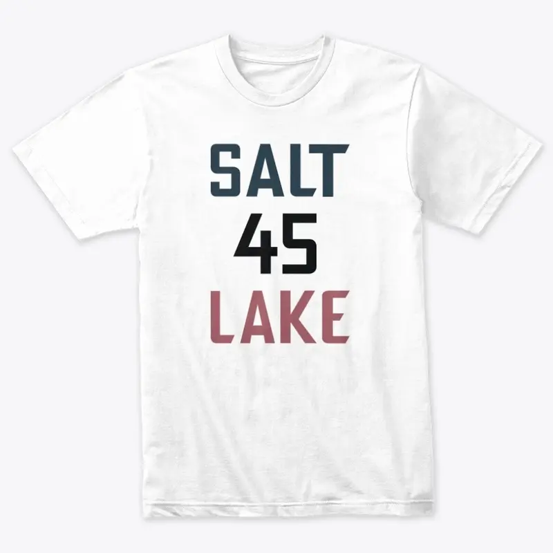 Salt Lake #45 City | Ninety4feet